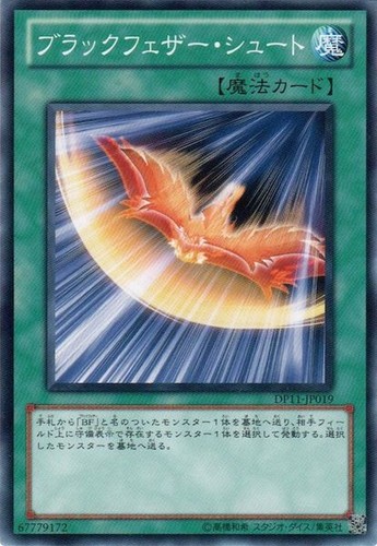 Ocg black winged - ocg, black-winged