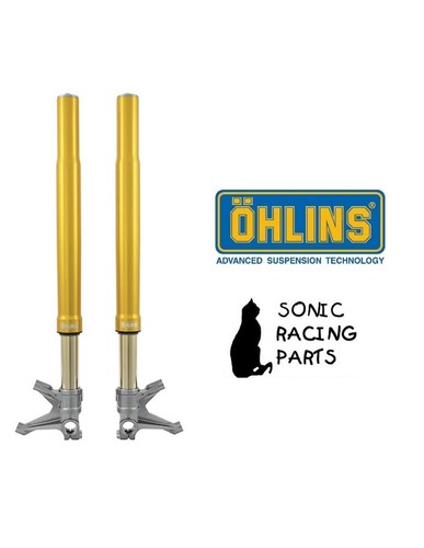 Fgr 265 ohlins forcella oro - forcella,