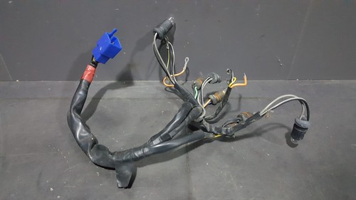 Faisceau electrique compteur - electrique,