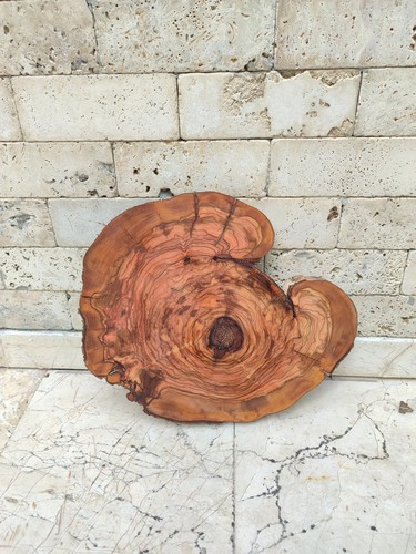 Rara lastra legno ulivo - legno, di
