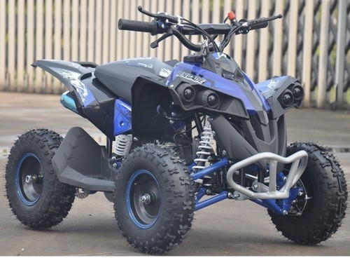 Miniatv miniquad quad renegade - miniatv,