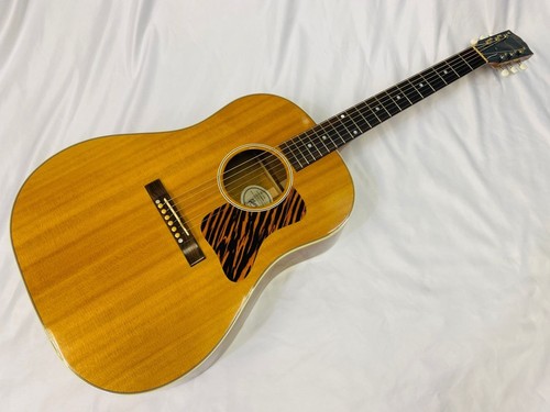 Chitarra elettrica acustica