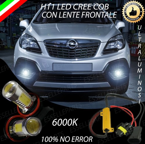 Coppia lampade fendinebbia h11 - fendinebbia,