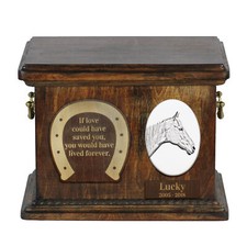 Cavallo da corsa in pensione