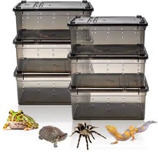 Scatola temporanea allevamento