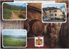 CALDARO - KALTERN - BOLZANO - CANTINA VINI JOSEF BARON DI PAULI -91256-