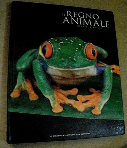 Regno animale rettili e - animale,