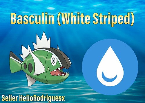 Basculin - righe, bianche)