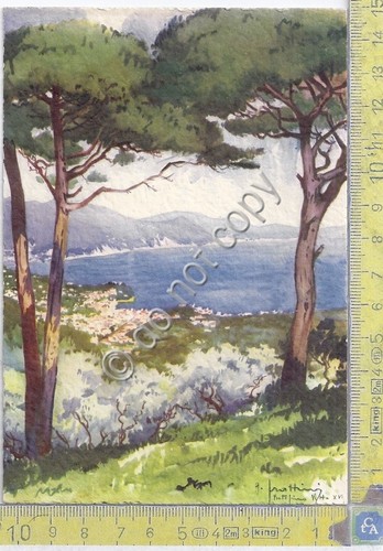 Cartolina postcard - ,