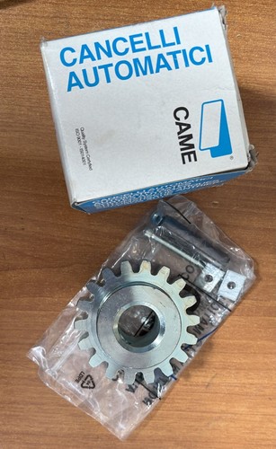 Came 119ribk002 pignone - 119ribk002, per