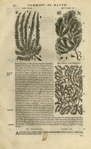 Stampa