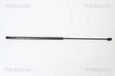 Ammortizzatore pneumatico
