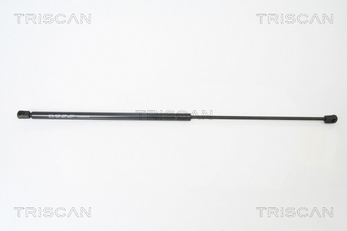 Ammortizzatore pneumatico