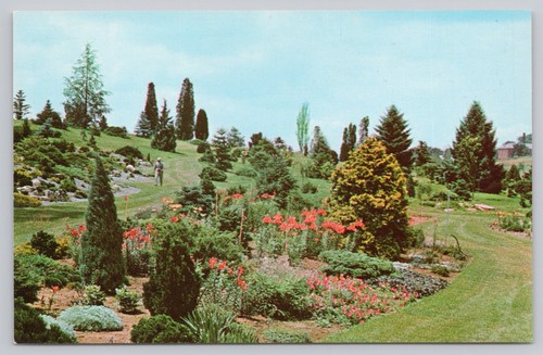 Cartolina national - cartolina,