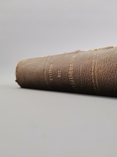 Dizionario falsificazione 1885