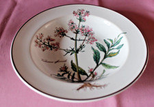 Villeroy Boch V&B Botanica Zuppiera Valeriana officinalis m.W. Ø 22 cm 82020