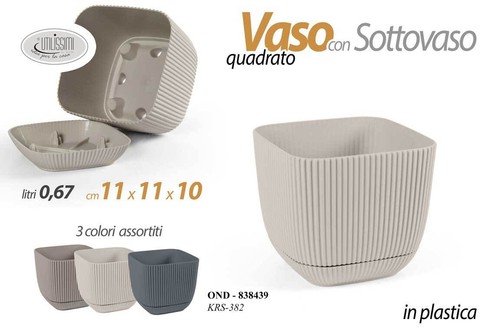 Vaso piante grasse fiori semi - vaso,