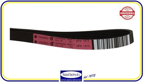 Cinghia rigata 6ph 1975 - rigata,