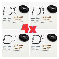 4X Set Revisione+Membrana