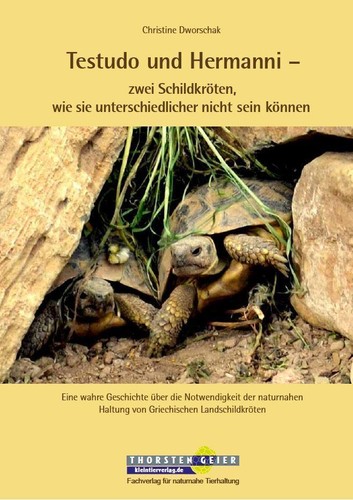 Testudo und hermanni zwei - testudo,