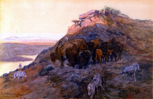 Charles russel buffalo - russel, at