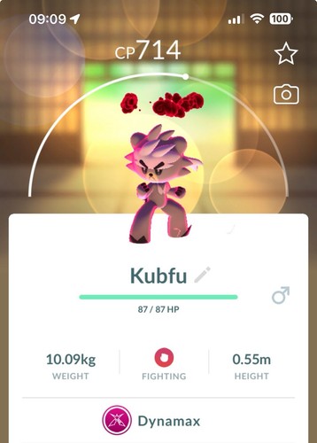 Kubfu pokemon garantito - pokemon,