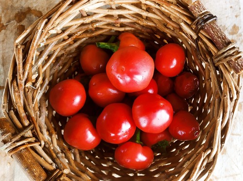 Peperoncino tondo calabrese - tondo,