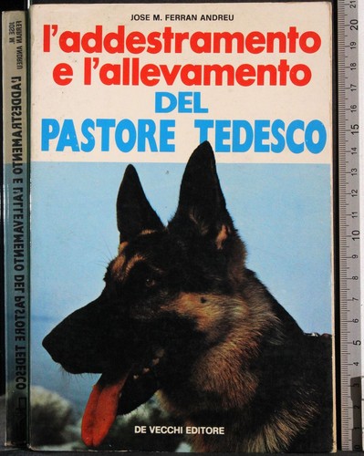 Addestramento e - l'addestramento,