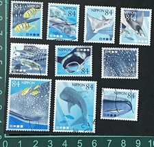L512 Japan 2021 Marine Life