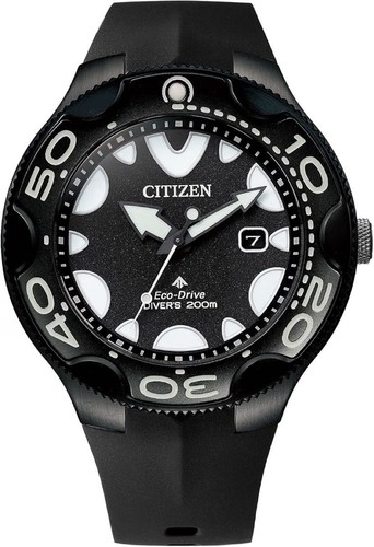Nuovissimo citizen promaster - nuovissimo,