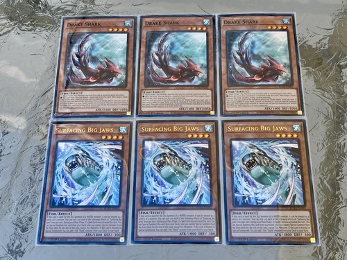 Surfacing big jaws 3x - 3x,