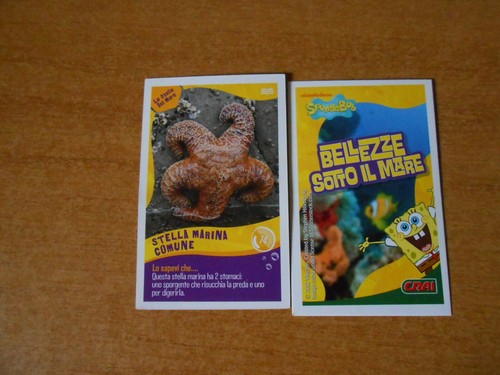 Figurina card spongebob - figurina,