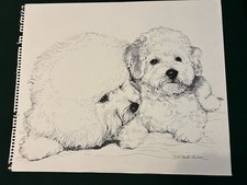 Penna e inchiostro originali