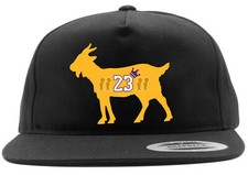 Los Angeles Lakers Lebron