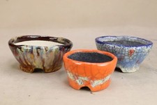 Vaso per bonsai giapponese