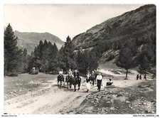 AODP12-0901-65 - GAVARNIE - Passeggiata A Cavallo Di Muli