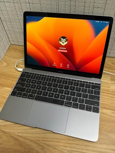 Apple macbook 2017 intel - apple,