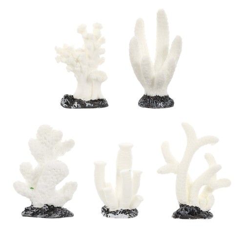 Pezzi barriera corallina - pezzi,