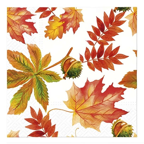 Tovaglioli carta paw veli - 3,
