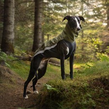 Giacca Softshell Greyhound -