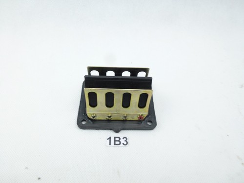 Membrana ingresso cilindro - ingresso,
