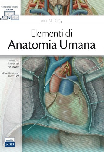 Elementi anatomia umana - di,