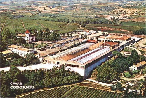 Codorniu ripresa aerea - , cavas