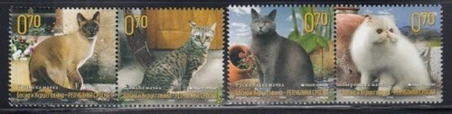 Srpska republic set gatti - republic,