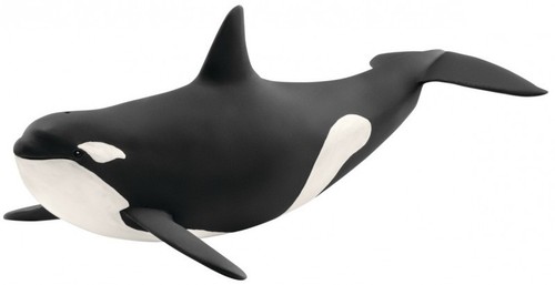 Orca animali resina - in,