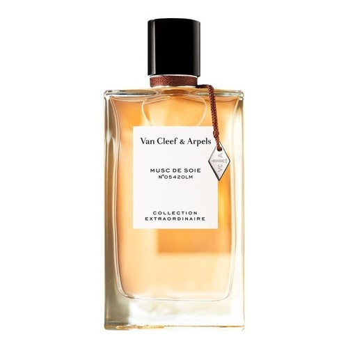 Profumo unisex uomo donna van - unisex,