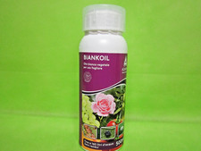 OLIO BIANCO VEGETALE