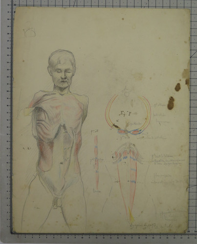 Disegno antico studenti di - disegno,