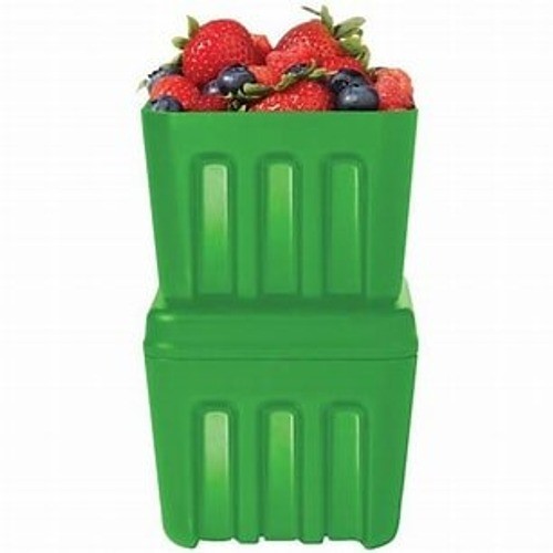 Set cesti bacche verdi - set,