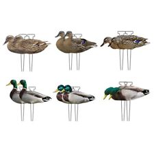 stampo mallard 2d silhouette -